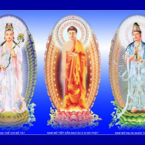 Tranh Dán Tường 3D Hình Phật Mã Pg-156