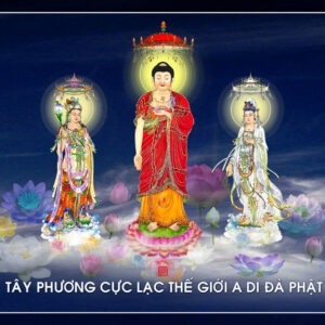 Tranh Dán Tường 3D Hình Phật Mã Pg-261