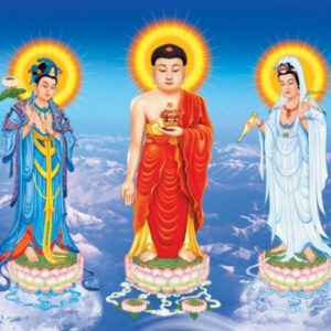 Tranh Dán Tường 3D Hình Phật Mã Pg-293