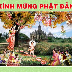 Tranh Dán Tường 3D Hình Phật Mã Pg-316