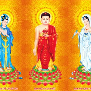 Tranh Dán Tường 3D Hình Phật Mã Pg-320