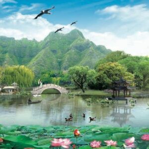 Tranh Dán Tường 3D Sơn Thủy Mã St011