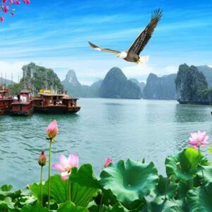 Tranh Dán Tường 3D Sơn Thủy Mã St016