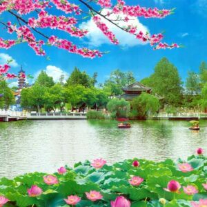 Tranh Dán Tường 3D Sơn Thủy Mã St041