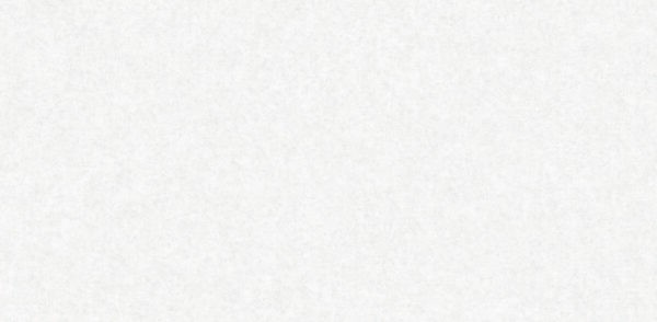 87019 120