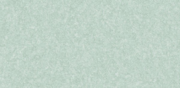 87019 220