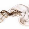 ART0276