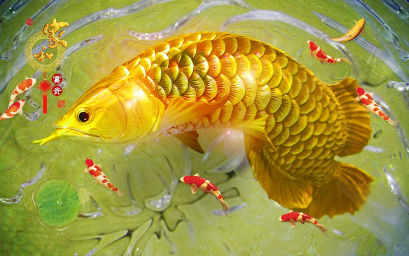 Tranh 3D theo phong thủy