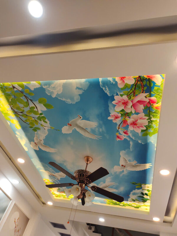 img 1747579904 3163